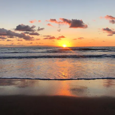 Cozy אל מדאנו