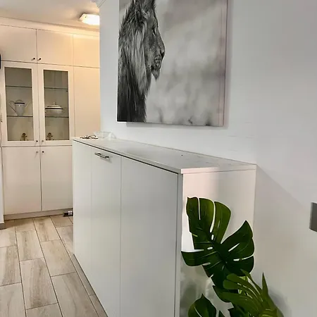Cozy Apartment