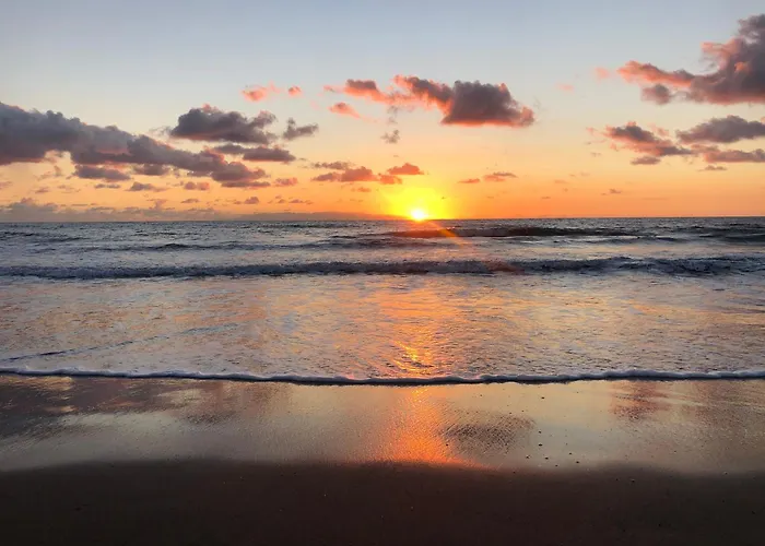 Cozy אל מדאנו